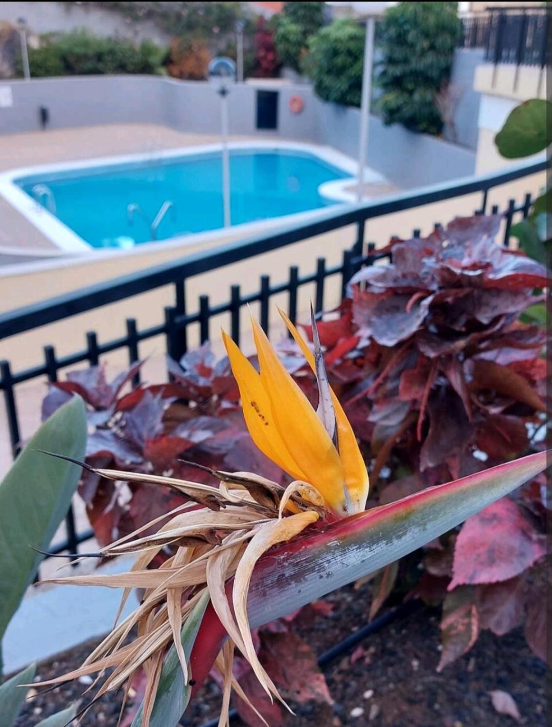 Apartmán Balcon Atlantida Candelaria Exteriér fotografie